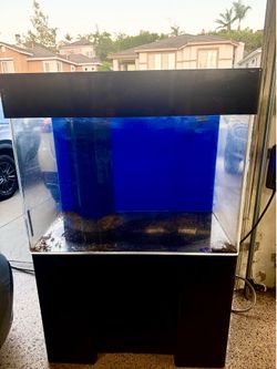 67 gal acrylic aquarium stand and swamp with pump