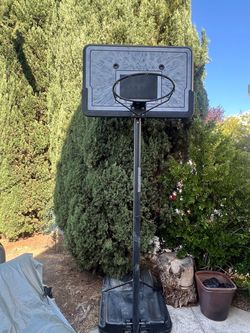 Free basketball hoop