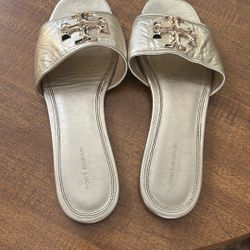 Slides 