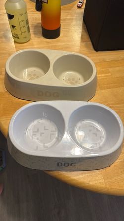Dog Bowl