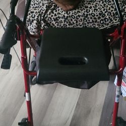 Walker, Sit Down Or Stand Behind