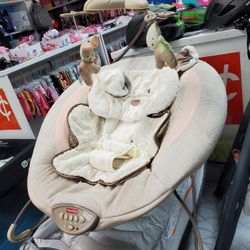 Baby Bouncer