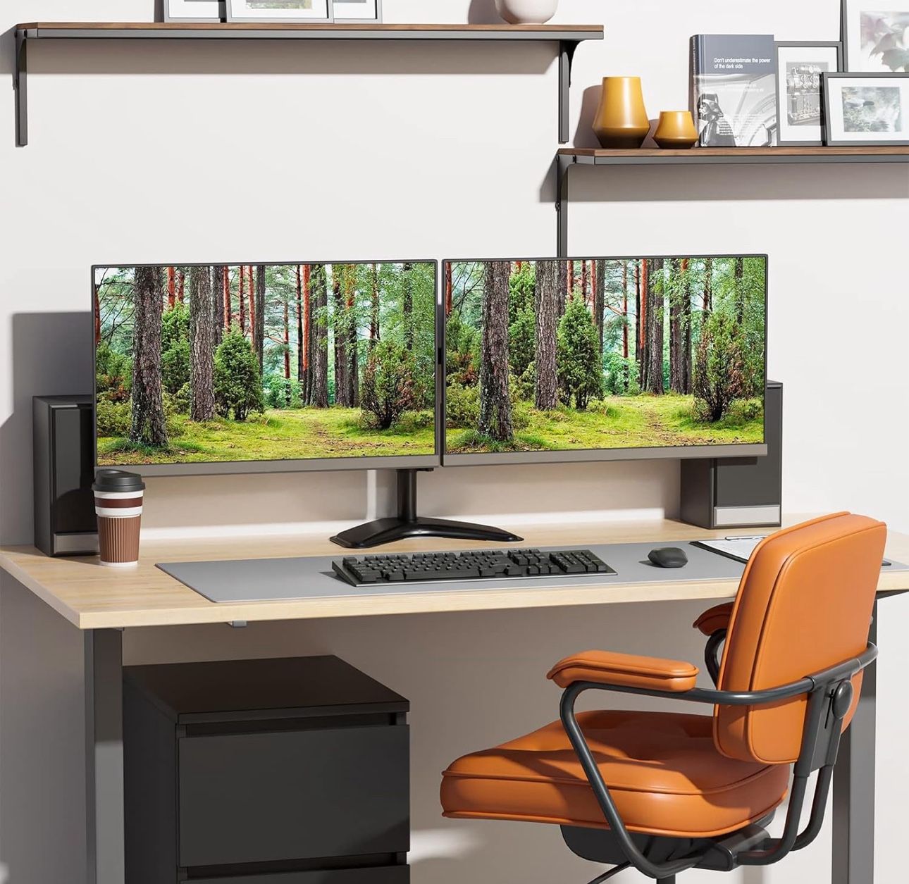 Dual Monitors (ASUS) With WALI Dual Monitor Stand