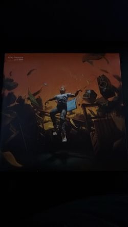 Vinyl record