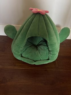 Cactus Cat House 