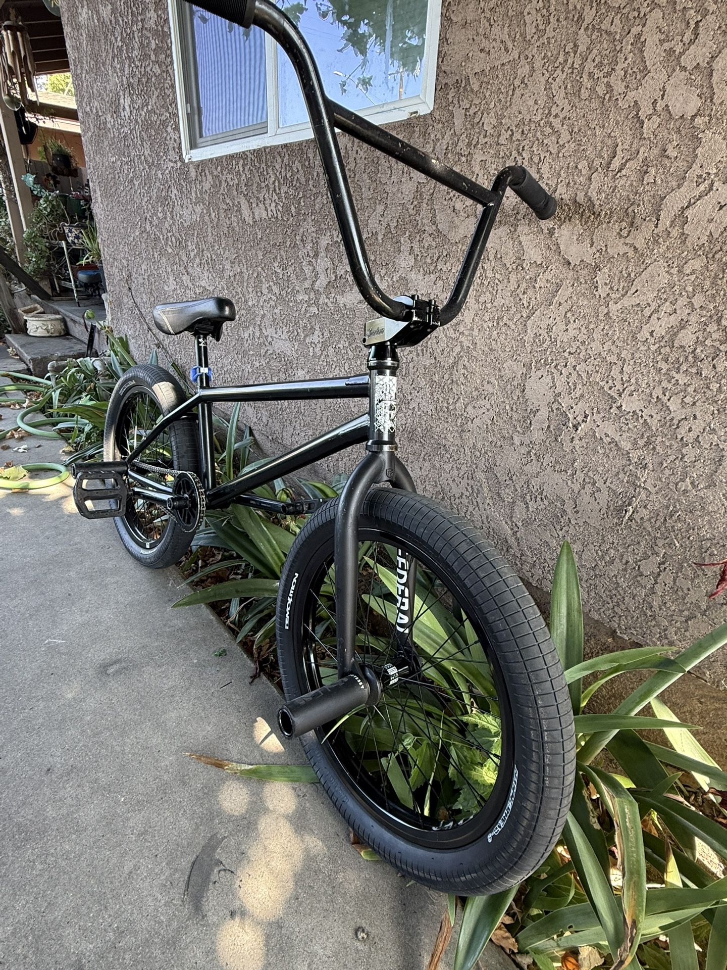 Cult Custom