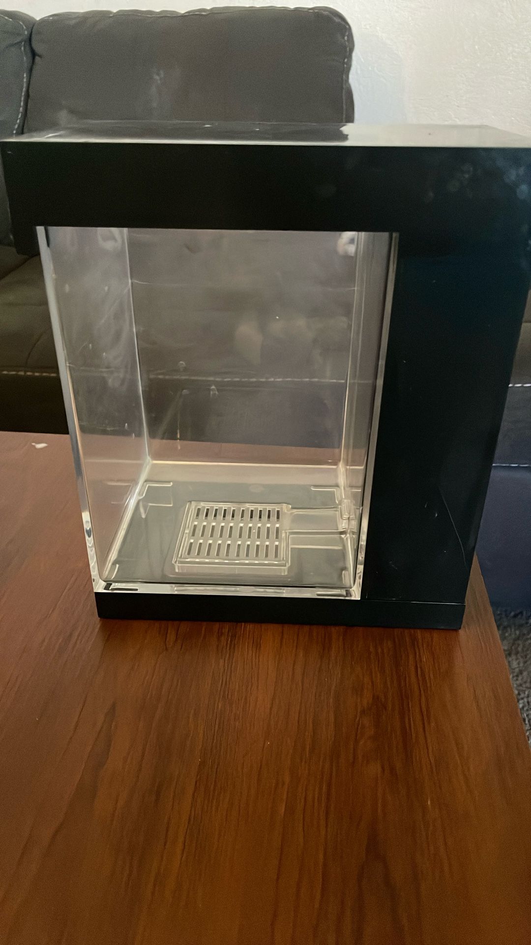 Small Fish Tank