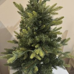 Christmas Tree with lights 