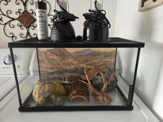Reptile tank terrarium