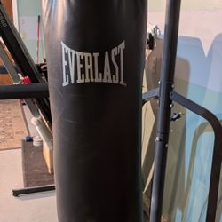Punching Bag 