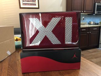 Retro Jordan Bred 11 Size 9
