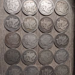 20 Silver Morgans