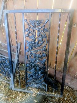 rod IRON SECURITY DOOR