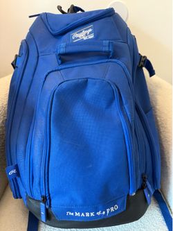 The Mark of a Pro Youth Bat Bag