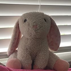 Stuffed Animals 
