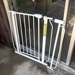 Doggy door