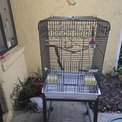 Bird Cage