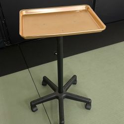 Rose Gold Esthetician Tray/table