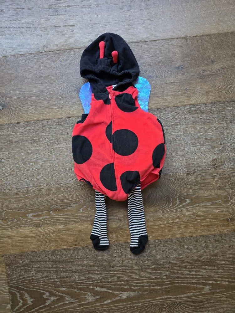 Ladybug 12 Month Halloween Costume