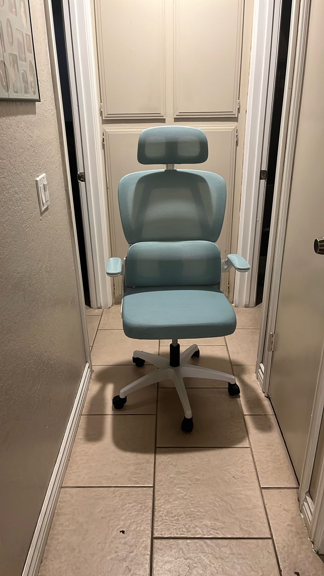 Ergonomic Office Chair