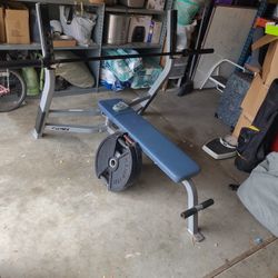 Cybex Weight Bench