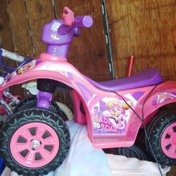 Electric 4 Wheeler 