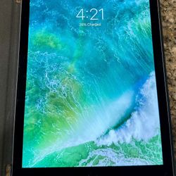 Apple iPad Air 2 128 GB With Case