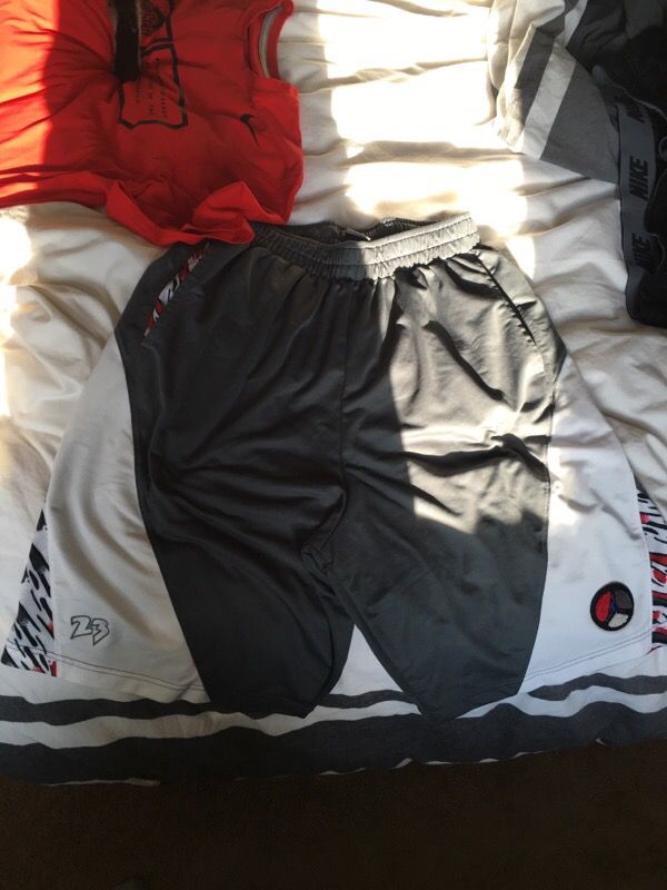 Jordan Size L training shorts