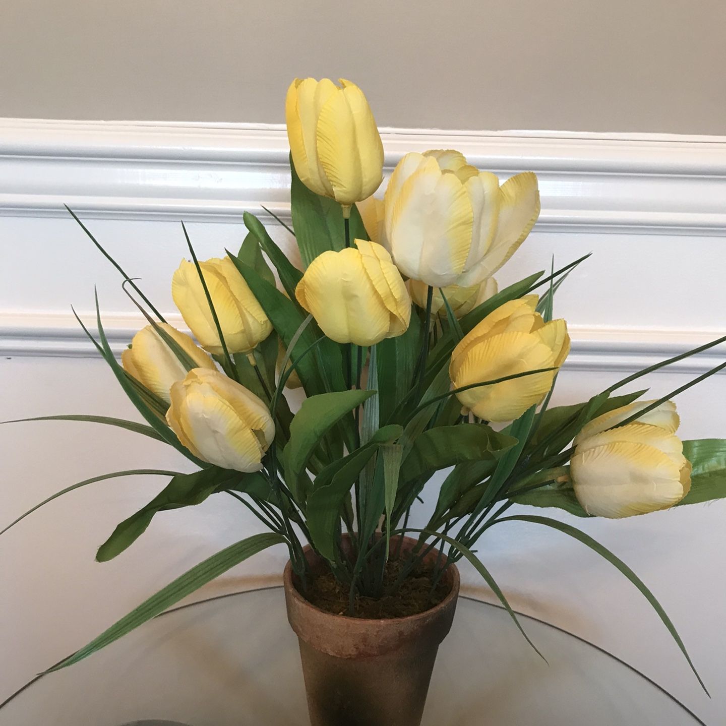 Yellow Tulips in Clay Pot 17”T