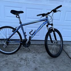 Raleigh Mountain Bike (Great Condition)