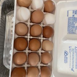 Fresh Eggs $2.00 A Dozen