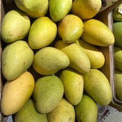 MANGO ATAULFO POR CAJA🥭🥭