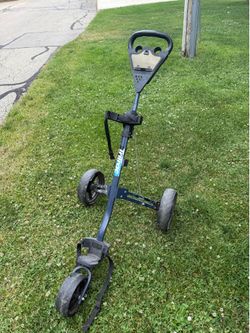 Gold Push Cart