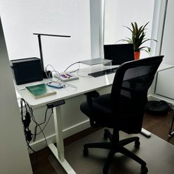 Electric Adjustable Sitting/Standing Desk  (<1 Year, $300 Value)