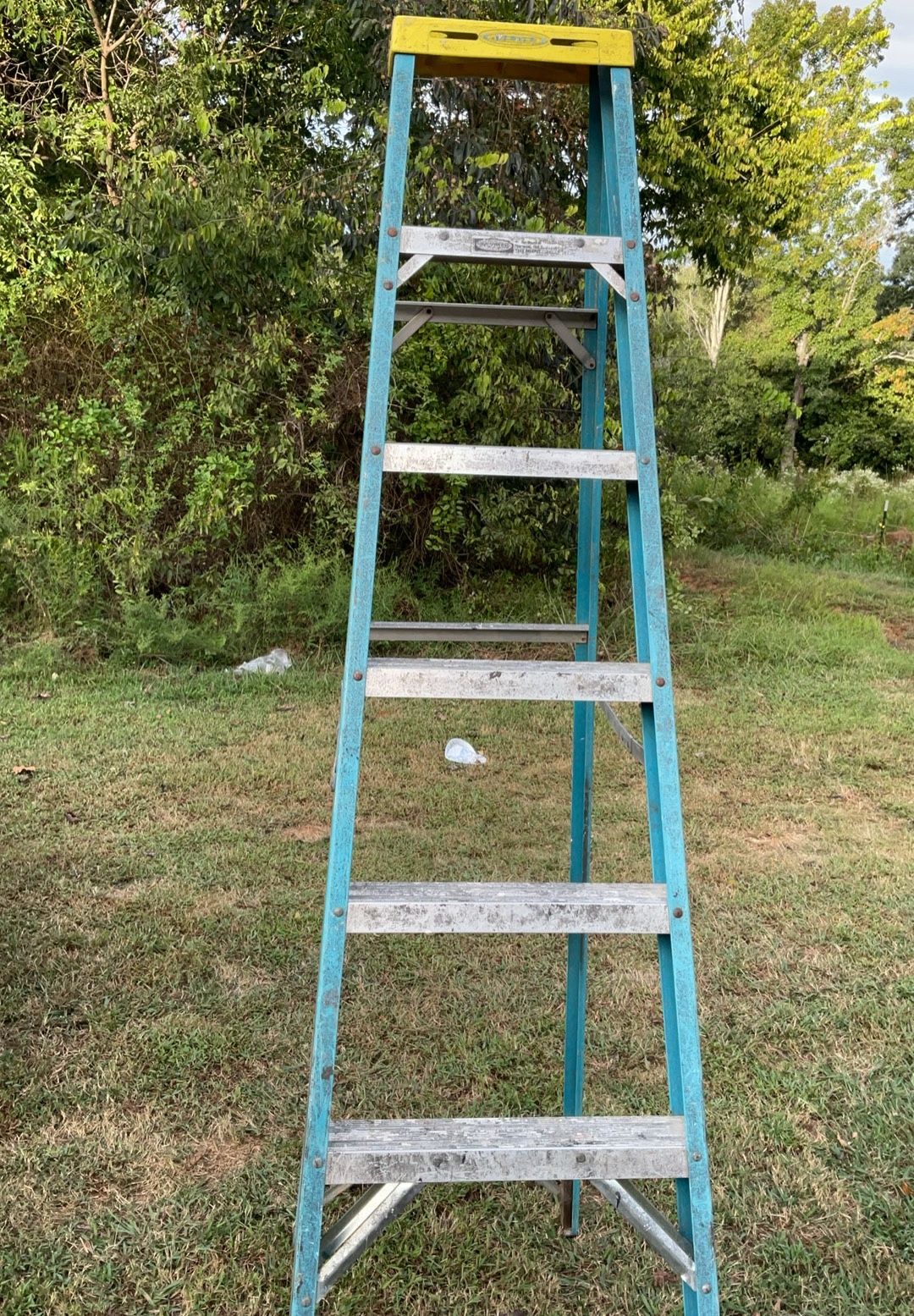 8 Ft Step Ladder 