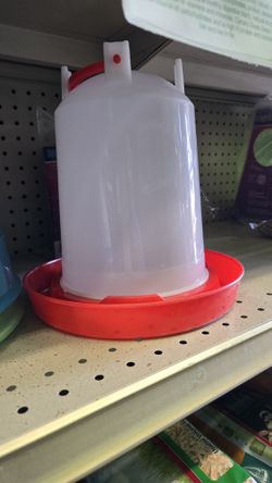 Accessories for Pets 