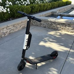 Bird Electric Scooter