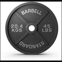 Brand New 45lb Pair Olympic Plates 