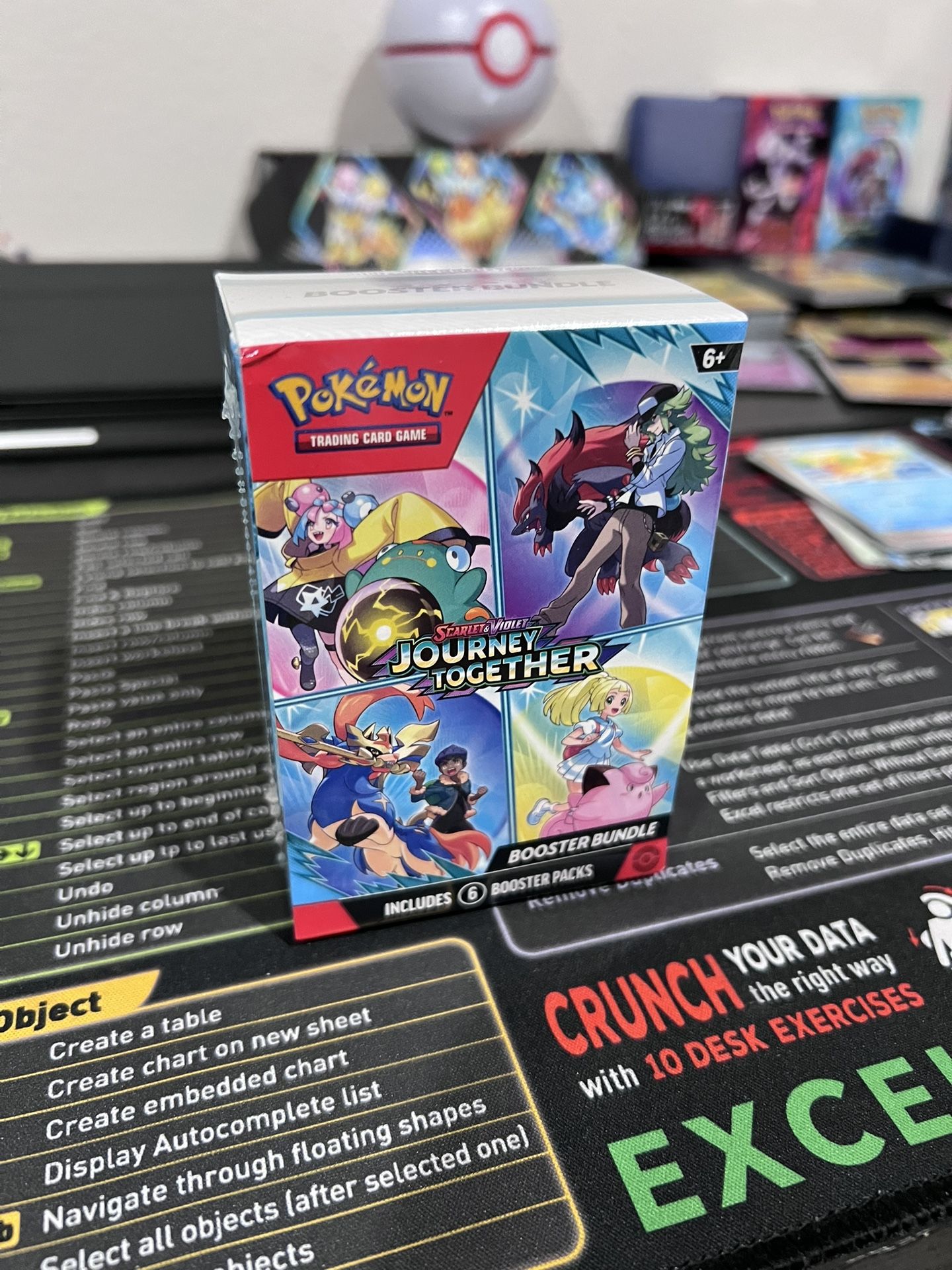 Pokemon Journey Together