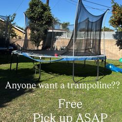 Trampoline 