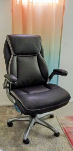 Sealy Ergonomic Chair