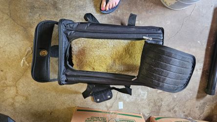 Free collapsible cat carrier