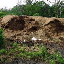 Horse Manure Delivered 
