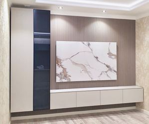 Custom TV Furniture