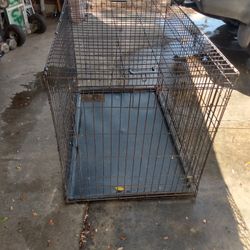 Dog Crate  One Is 30wx48Lx32H