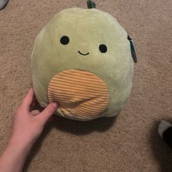 squishmallow 