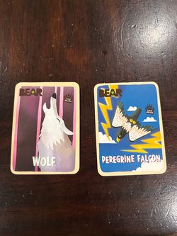 Bear cards (2)
