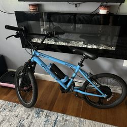 Electric pedal