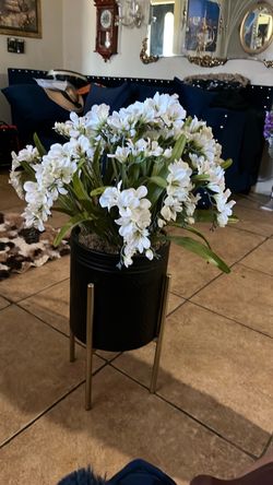 Plant $15