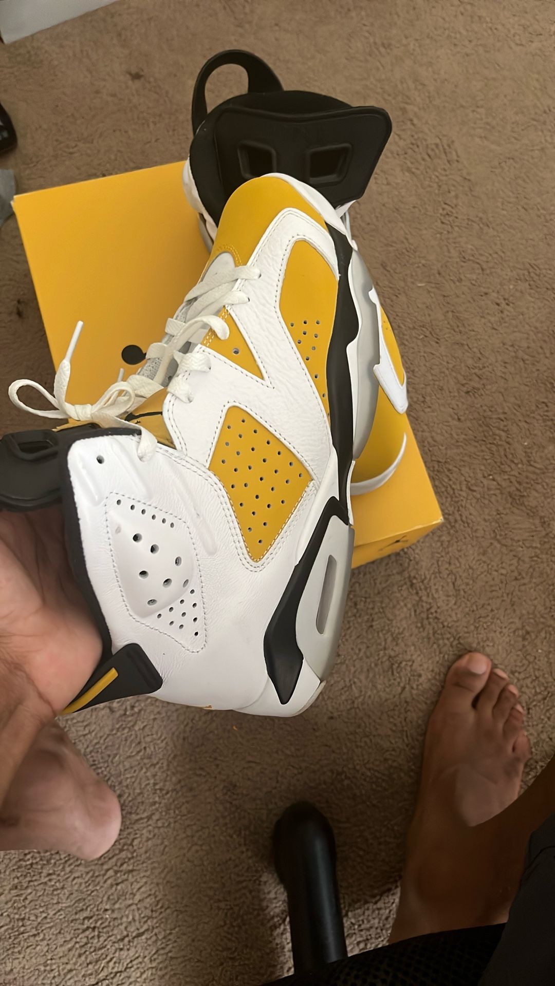 Jordan 6s